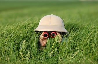 iStock-157180213_high-1200x792_cd70fc8c7ba9104fb5f06e4d4a086473